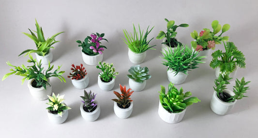 DIY: House plants