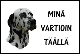 Vartiokyltti dalmatiankoira